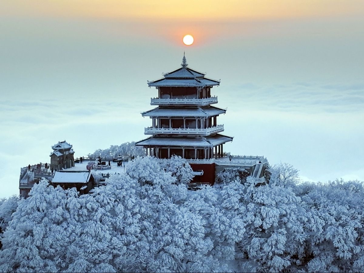 河南省年度数据