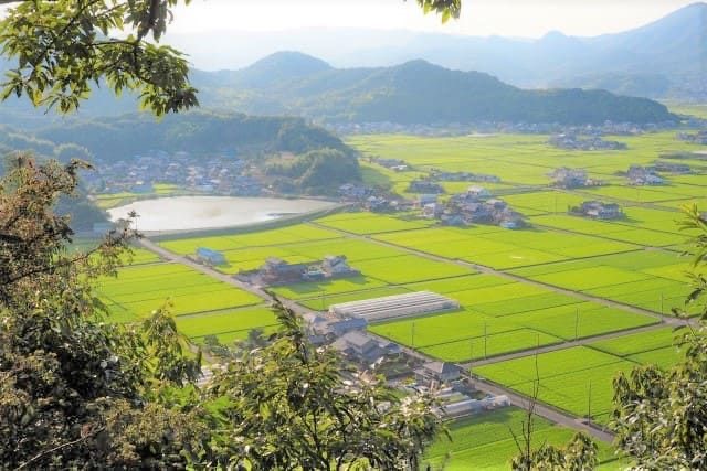 草原建设利用