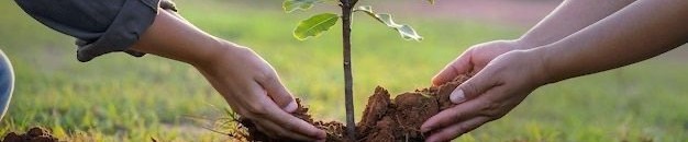 林业有害生物防治