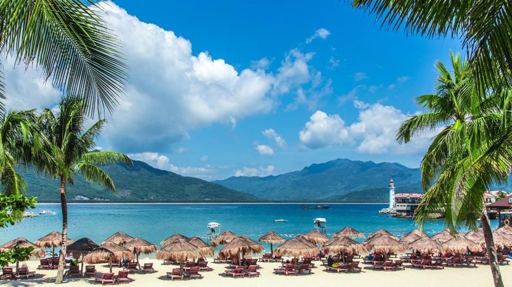 海南省月度数据