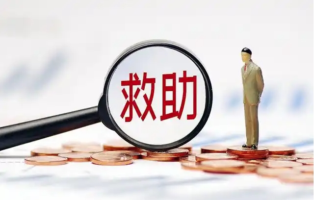 社会救助情况