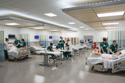 医院床位利用