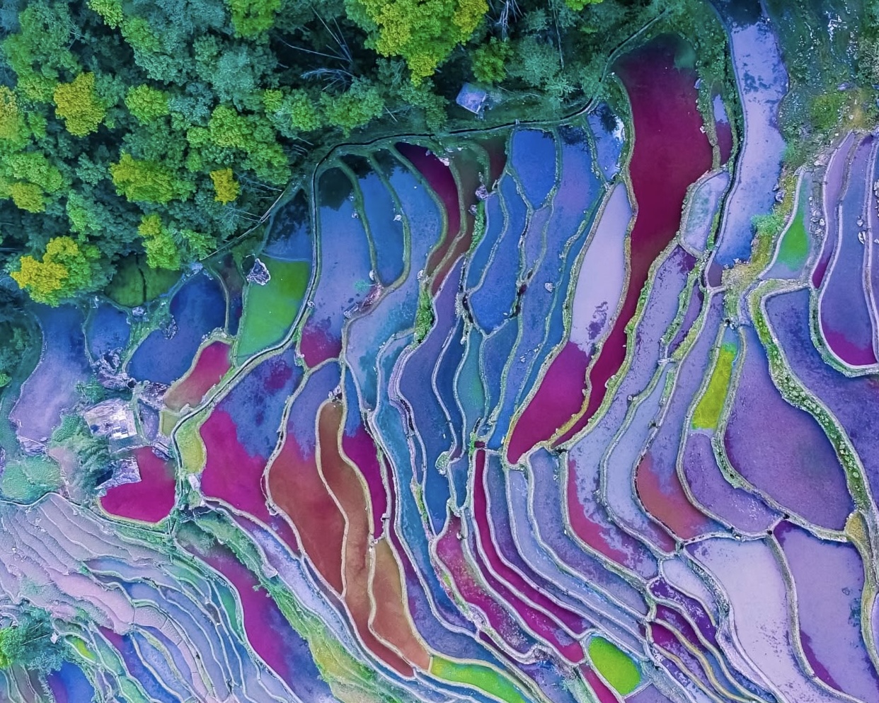 云南省年度数据