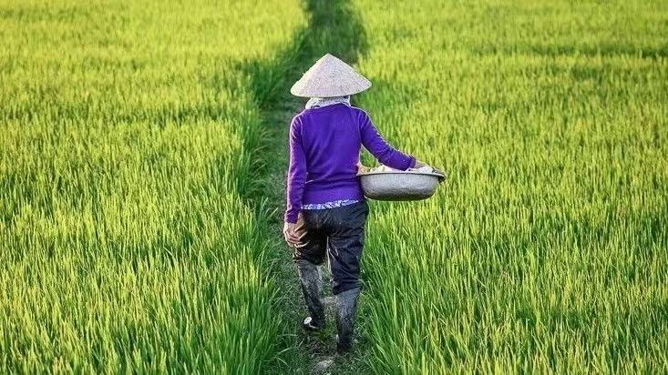 农村生活